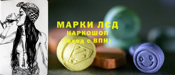 гидра Аркадак