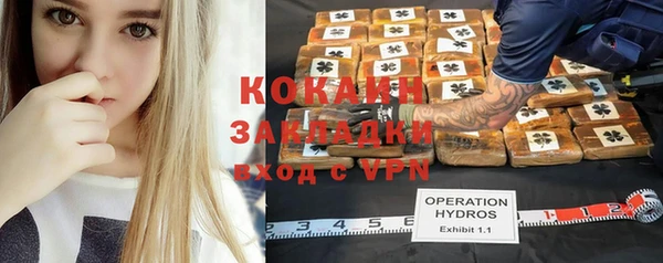 гидра Аркадак