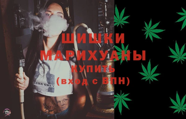 гидра Аркадак