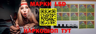 прущие грибы Новозыбков