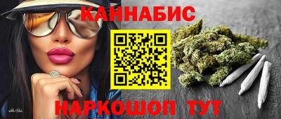 прущие грибы Новозыбков
