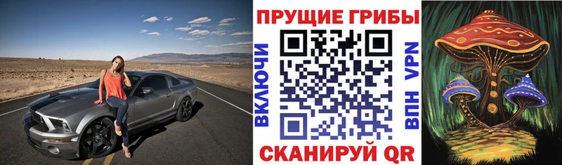 Псилоцибиновые грибы прущие грибы  наркотики  Спасск-Дальний 